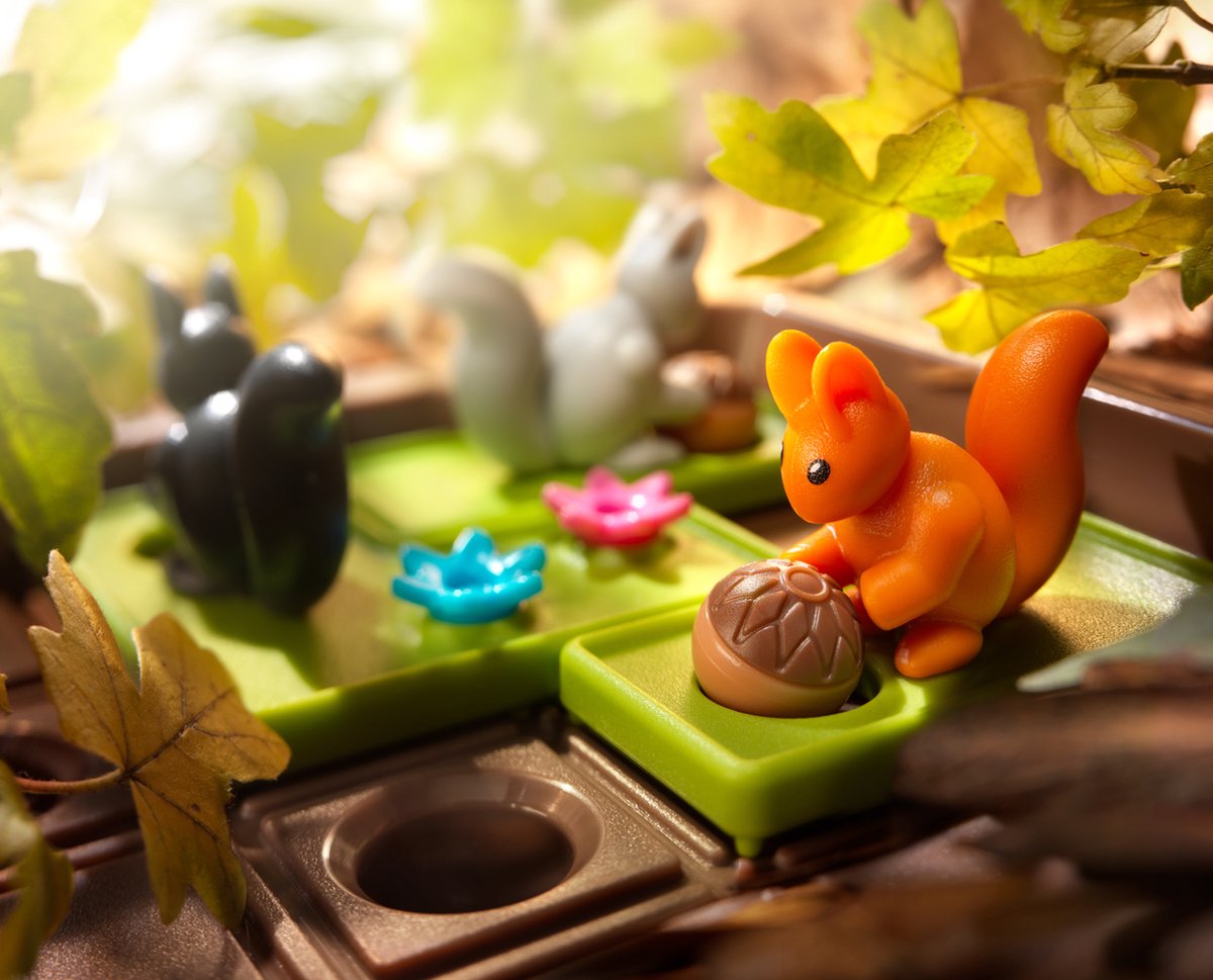 Smart games Squirrels go nuts