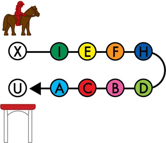 Smart games Horse academy