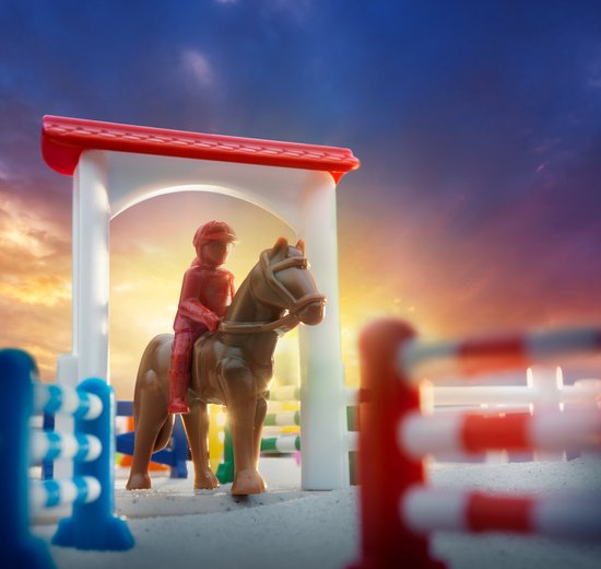 Smart games Horse academy