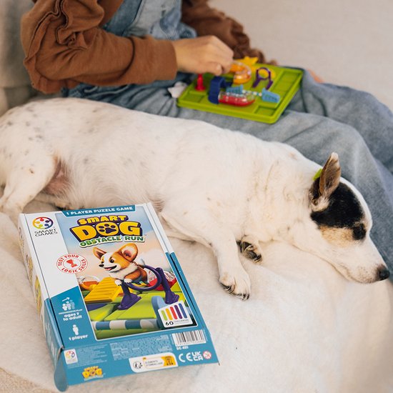 Smart games Smart dog