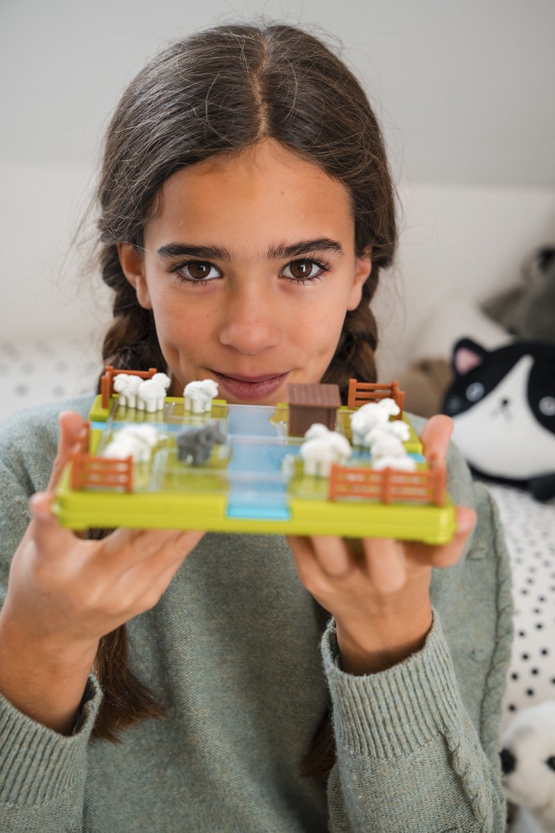 Smart games schaapjes tellen