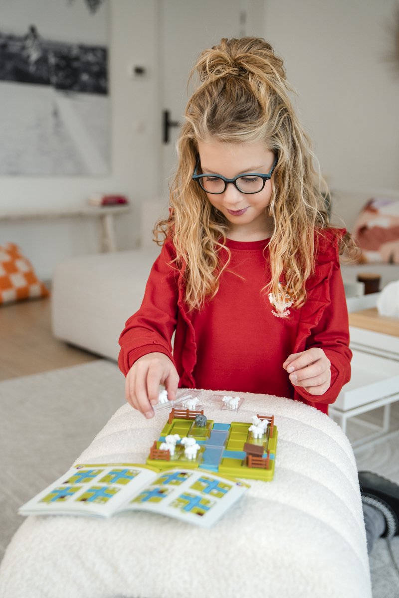 Smart games schaapjes tellen