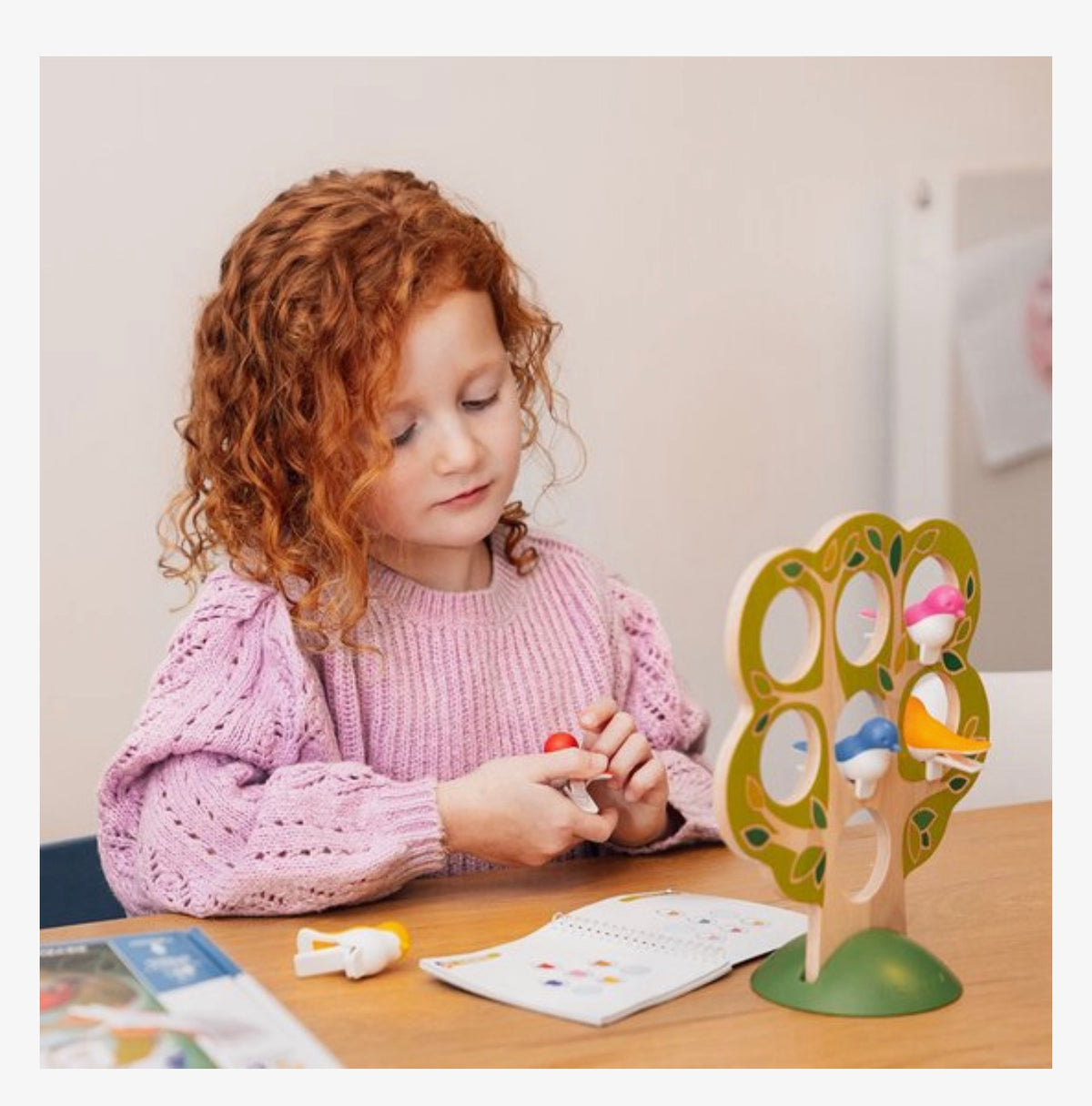 Smart games 5 Little birds