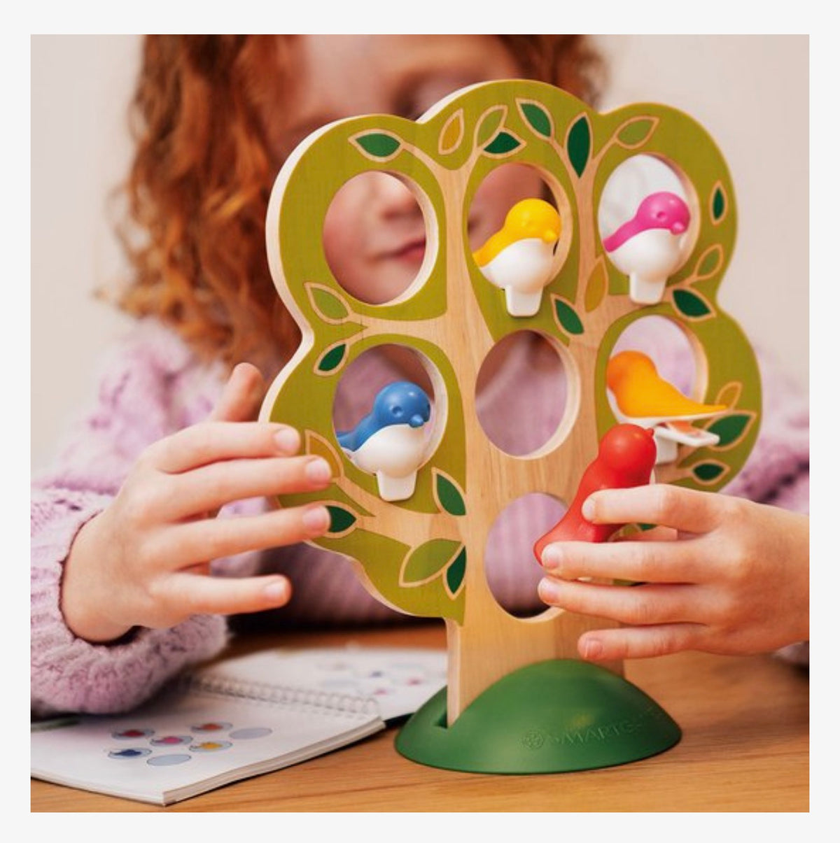 Smart games 5 Little birds