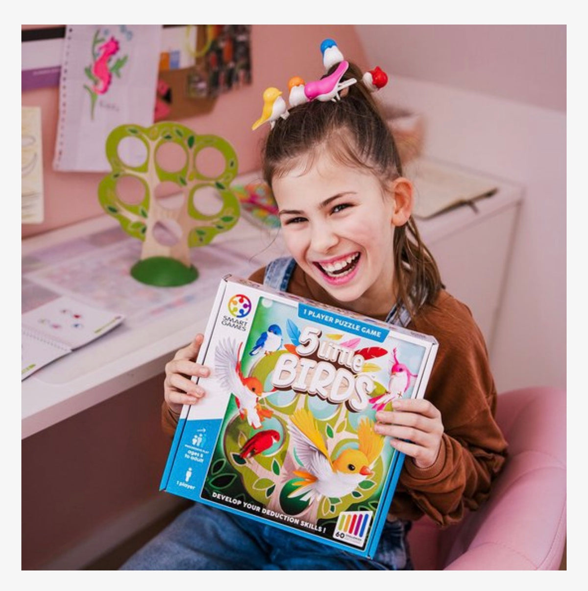 Smart games 5 Little birds